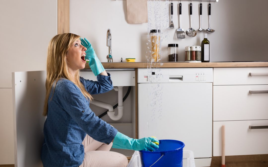 Popular Plumbing Issues