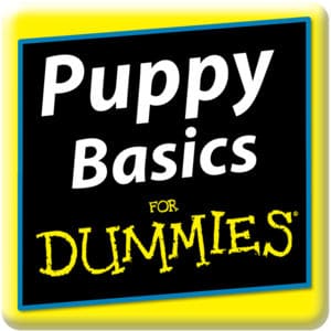 puppybasics